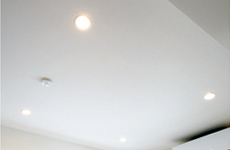 �_�E�����C�g