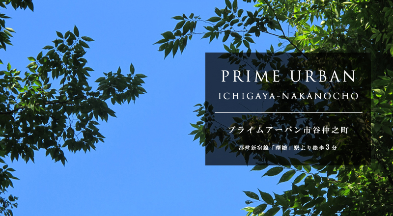 �v���C���A�[�o���s�J���V���F���ݕ�W�J�n