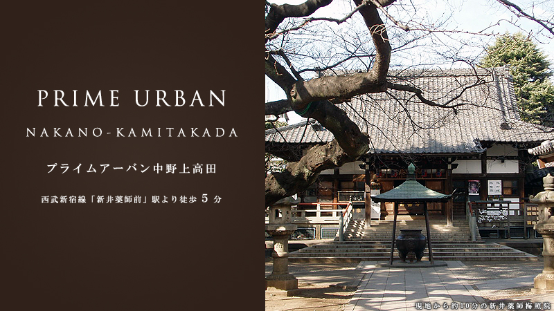 �v���C���A�[�o������㍂�c�F���ݕ�W�J�n