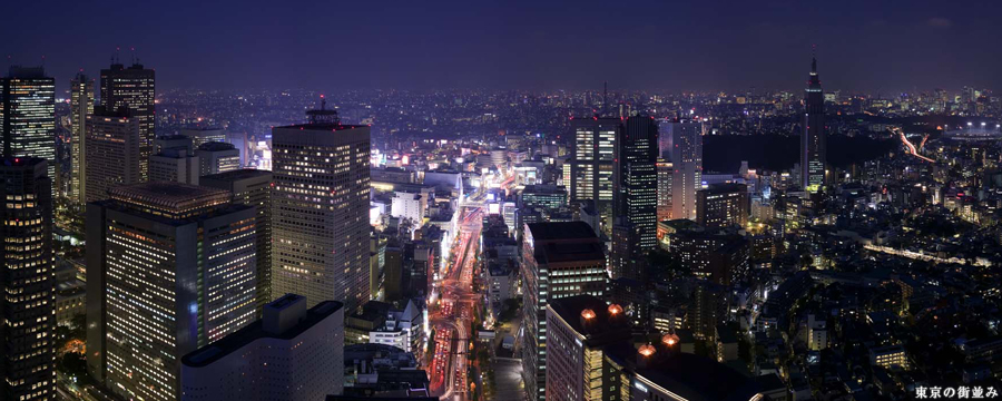 プライムアーバン新宿夏目坂タワーレジデンス:東京の街並みイメージ