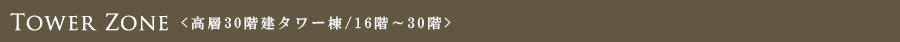 Tower Zone<���w30�K���^���[��>