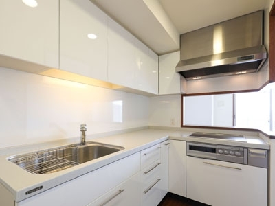 �v���C���A�[�o���V�h�Ėڍ�^���[���W�f���X�Fimg04