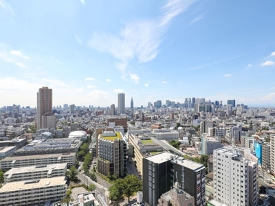 �v���C���A�[�o���V�h�Ėڍ�^���[���W�f���X�Fimg14