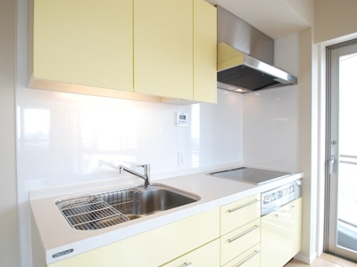 �v���C���A�[�o���V�h�Ėڍ�^���[���W�f���X�Fimg05