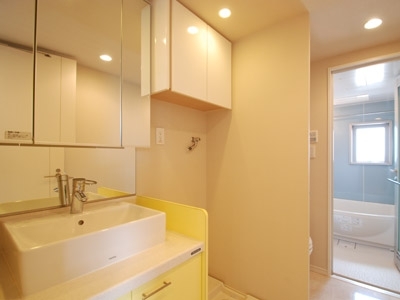 �v���C���A�[�o���V�h�Ėڍ�^���[���W�f���X�Fimg06