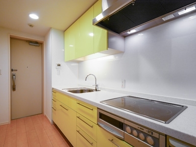 �v���C���A�[�o���V�h�Ėڍ�^���[���W�f���X�Fimg06