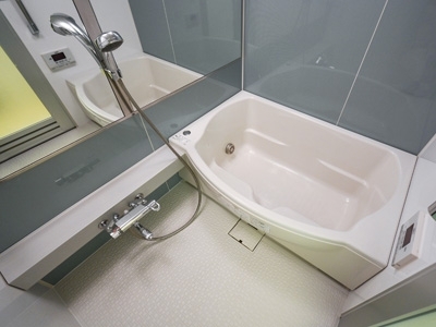 �v���C���A�[�o���V�h�Ėڍ�^���[���W�f���X�Fimg09