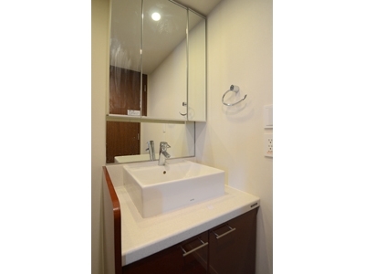 �v���C���A�[�o���V�h�Ėڍ�^���[���W�f���X�Fimg06