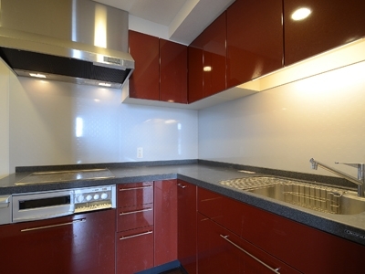 �v���C���A�[�o���V�h�Ėڍ�^���[���W�f���X�Fimg05