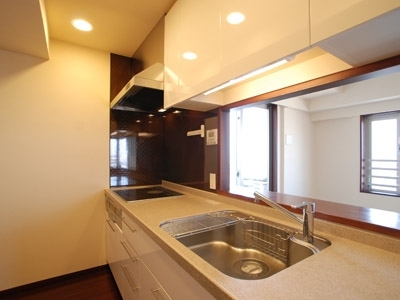 �v���C���A�[�o���V�h�Ėڍ�^���[���W�f���X�Fimg02