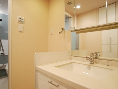 �v���C���A�[�o���V�h�Ėڍ�^���[���W�f���X�Fimg04