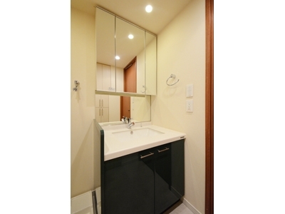 �v���C���A�[�o���V�h�Ėڍ�^���[���W�f���X�Fimg11