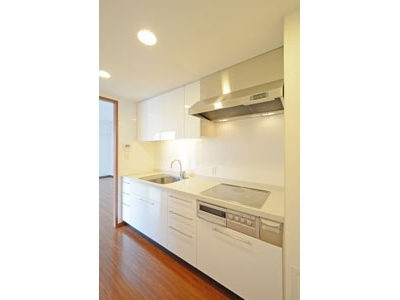 �v���C���A�[�o���V�h�Ėڍ�^���[���W�f���X�Fimg07