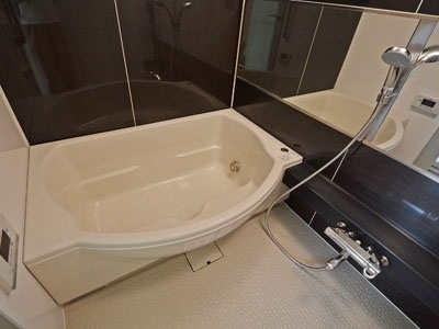 �v���C���A�[�o���V�h�Ėڍ�^���[���W�f���X�Fimg09