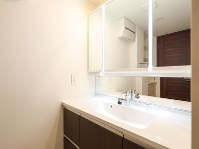 �v���C���A�[�o���V�h�Ėڍ�^���[���W�f���X�Fimg06