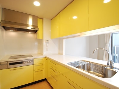 �v���C���A�[�o���V�h�Ėڍ�^���[���W�f���X�Fimg08