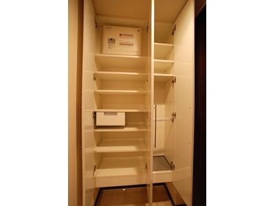 �v���C���A�[�o���V�h�Ėڍ�^���[���W�f���X�Fimg11