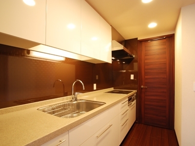 �v���C���A�[�o���V�h�Ėڍ�^���[���W�f���X�Fimg06