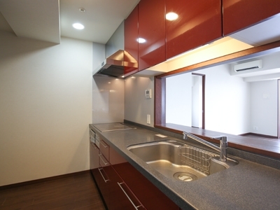 �v���C���A�[�o���V�h�Ėڍ�^���[���W�f���X�Fimg06